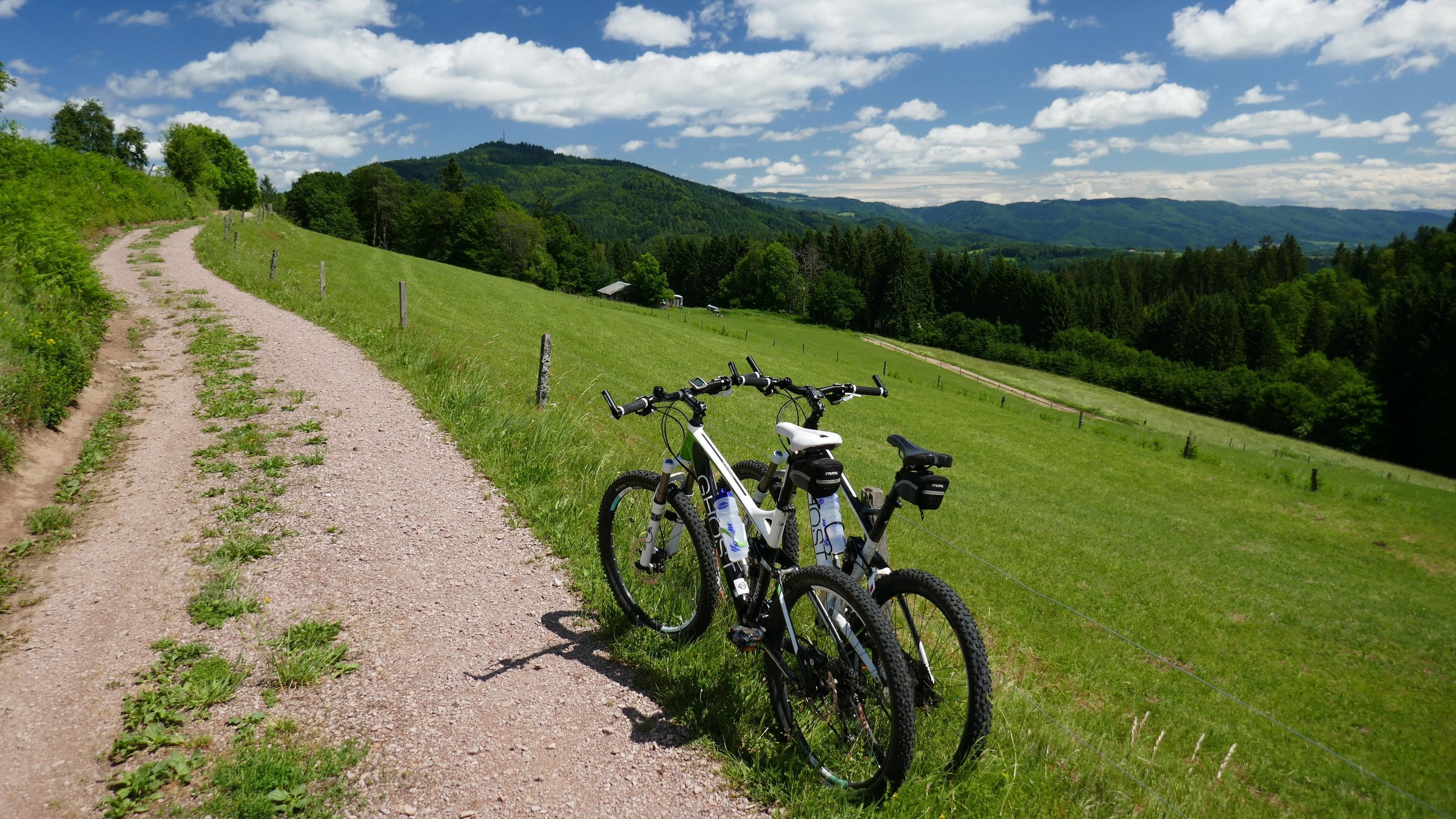 Bike Tour © Vera Noy