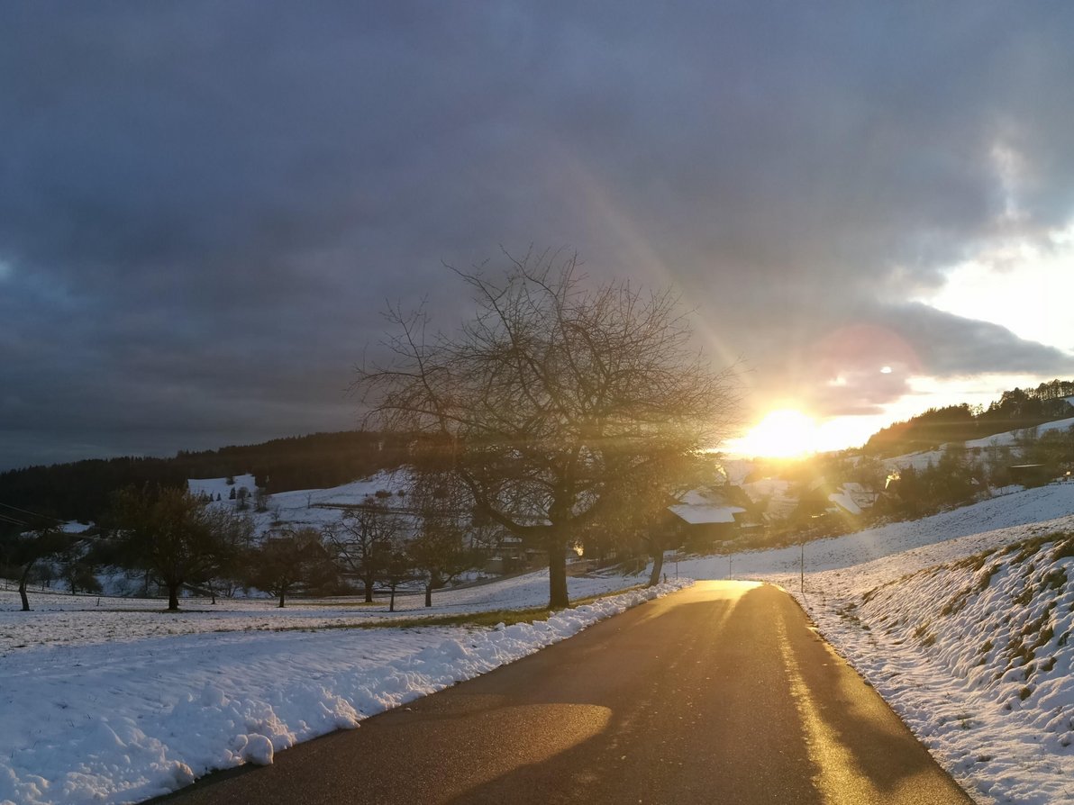 Blick auf Adelsberg © Giuseppe Gazzana